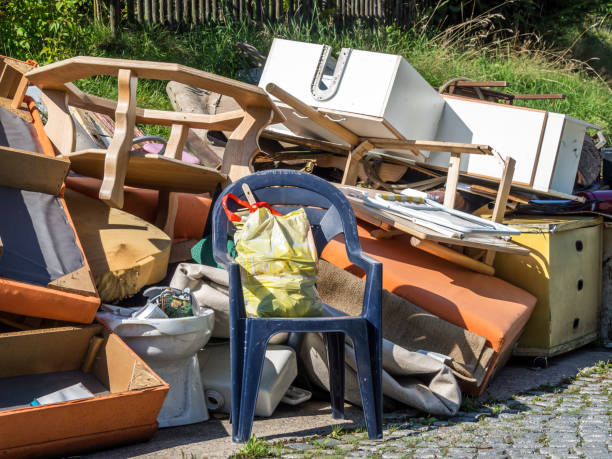Best Construction Debris Removal  in Sleepy Eye, MN