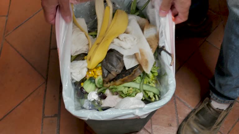 Best Property Management Cleanouts  in Sleepy Eye, MN